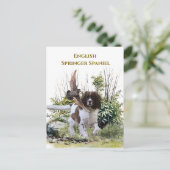 Invitation Carte Postale Anglais Springer Spaniel (Debout devant)