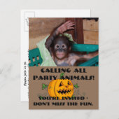 Invitation Carte Postale Animaux de la fête d'Halloween (Devant / Derrière)