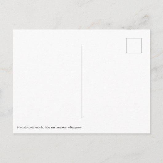 Invitation Carte Postale Arche bébé (Dos)