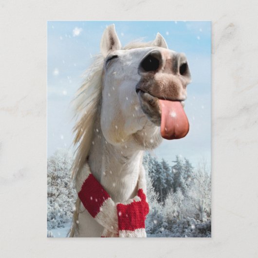 Invitation Carte Postale Attraper des flocons de neige par un cheval (Devant)