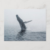 Invitation Carte Postale Baleine à bosse (Devant)