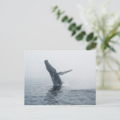 Invitation Carte Postale Baleine à bosse (Debout devant)