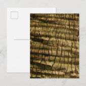 Invitation Carte Postale Barre de palmiers (Devant / Derrière)