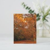 Invitation Carte Postale Beaux arbres d'automne (Debout devant)