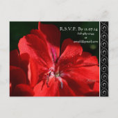 Invitation Carte Postale Belle Elégante Fleur Rouge (Dos)