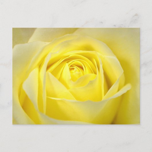 Invitation Carte Postale Belle Fête des mariées rose jaune (Devant)