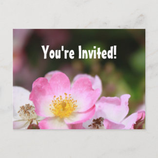Invitation Carte Postale belles fleurs de rose sauvage rose rose graduation
