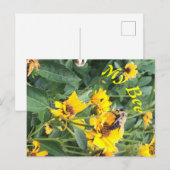 Invitation Carte Postale Bumblebee pollinise une fleur jaune (Devant / Derrière)
