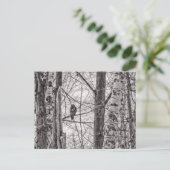 Invitation Carte Postale Buse à queue rousse P8443 (Debout devant)