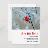 Invitation Carte Postale Cardinal rouge en Noël d'hiver Sauvez la date (Devant / Derrière)