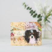 Invitation Carte Postale Cavalier King Charles Spaniel (Debout devant)
