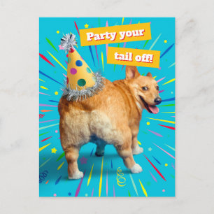 Invitation Carte Postale Chapeau d'anniversaire pour derrière de Corgi