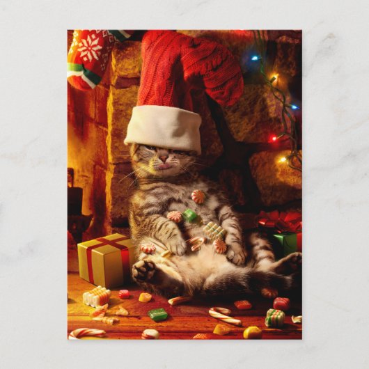 Invitation Carte Postale Chat avec bas sur la tête (Devant)