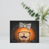 Invitation Carte Postale Chat avec des cheveux de citrouille (Debout devant)
