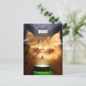 Invitation Carte Postale Chat avec lampe de poche (Debout devant)