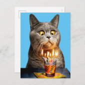 Invitation Carte Postale Chat Avec Verre Balayé Anniversaire (Devant / Derrière)