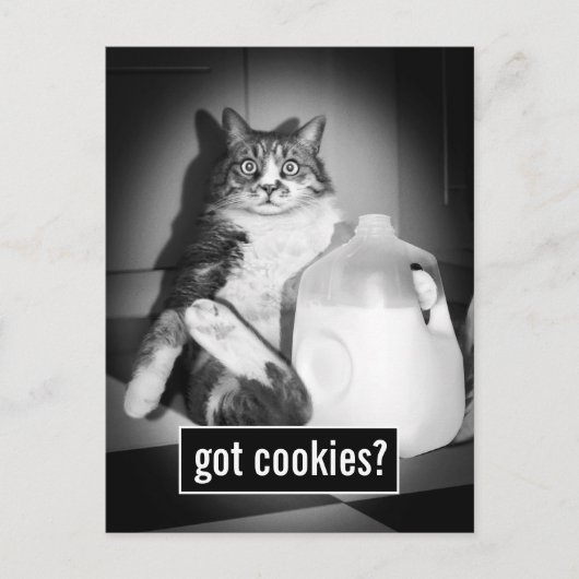 Invitation Carte Postale Chat Boire Du Lait De Jug (Devant)