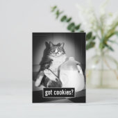 Invitation Carte Postale Chat Boire Du Lait De Jug (Debout devant)