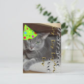 Invitation Carte Postale Chat gris animal de fête (Debout devant)