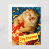 Invitation Carte Postale Chat Manger Fromage Puits (Devant / Derrière)