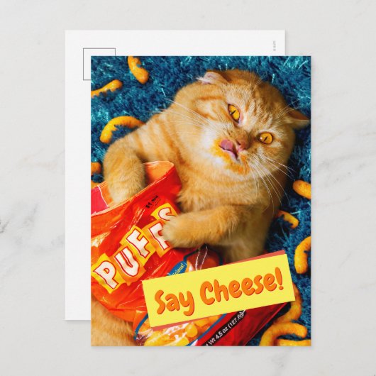 Invitation Carte Postale Chat Manger Fromage Puits (Devant / Derrière)