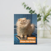 Invitation Carte Postale Chat sur la grille (Debout devant)