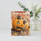 Invitation Carte Postale Chatons à Jack-o-Lantern (Debout devant)