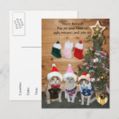 Invitation Carte Postale Chats de vacances amusants dans des Sweaters moche (Devant / Derrière)