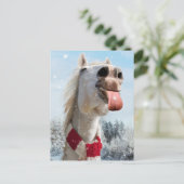 Invitation Carte Postale Cheval Attrapant des Flocons de Neige (Debout devant)