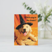 Invitation Carte Postale Chien avec chapeau de sorcière et balai (Debout devant)