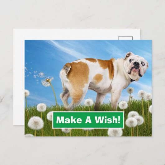 Invitation Carte Postale Chien avec Dandelion (Devant / Derrière)