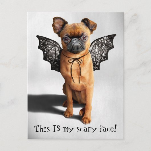 Invitation Carte Postale Chien avec des ailes de chaume (Devant)