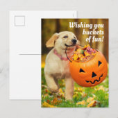 Invitation Carte Postale Chien avec seau de citrouille (Devant / Derrière)