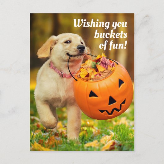 Invitation Carte Postale Chien avec seau de citrouille (Devant)