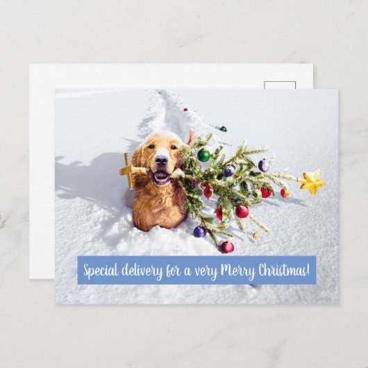 Invitation Carte Postale Chien avec un arbre dans la neige (Devant / Derrière)