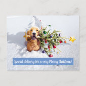 Invitation Carte Postale Chien avec un arbre dans la neige (Devant)