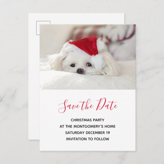 Invitation Carte Postale Chien blanc mignon en rouge Casquette de Noël Sauv (Devant / Derrière)