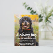 Invitation Carte Postale Chien Chien Chien Chien Anniversaire Fête Personna (Debout devant)