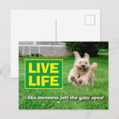 Invitation Carte Postale Chien Courant Dans Le Jardin (Devant / Derrière)