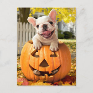 Invitation Carte Postale Chien dans une citrouille lumineuse