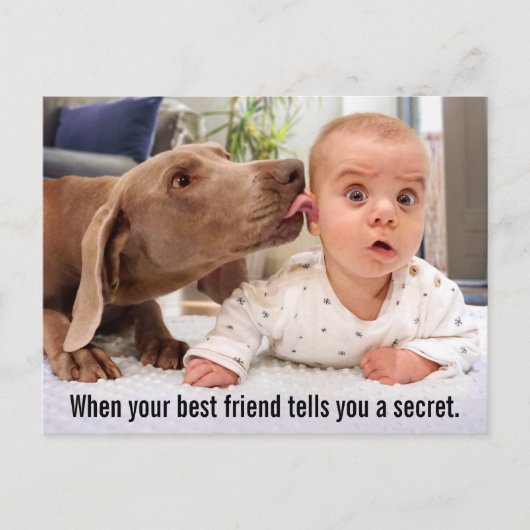 Invitation Carte Postale Chien Lick l'oreille du bébé (Devant)