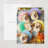 Invitation Carte Postale Chiens dorés demande des friandises Halloween (Devant / Derrière)