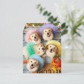 Invitation Carte Postale Chiens dorés faiseurs de tours ou friandises (Debout devant)