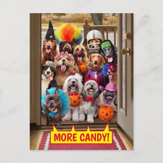 Invitation Carte Postale Chiens qui font Trick-or-Treat (Devant)