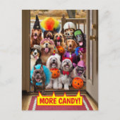 Invitation Carte Postale Chiens qui quémandent des friandises Halloween (Devant)