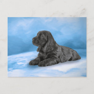 Invitation Carte Postale Chiot anglais Cocker Spaniel