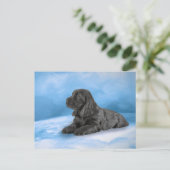 Invitation Carte Postale Chiot anglais Cocker Spaniel (Debout devant)
