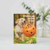 Invitation Carte Postale Chiot avec seau de citrouille (Debout devant)