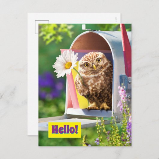 Invitation Carte Postale Chouette Avec Fleur Dans Boîte Aux Lettres (Devant / Derrière)