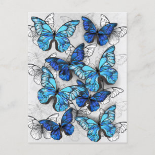 Invitation Carte Postale Composition des White and Blue Butterflies